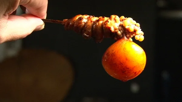 居酒屋　とりっぷ - 青森（居酒屋）の写真