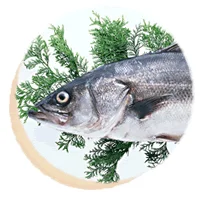 武田の笹かまぼこ - 本塩釜（海鮮）の写真