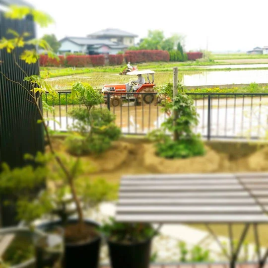 精進スイーツ結び（Musubi Macrobiotic dessert） - 登米市その他（カフェ）の写真