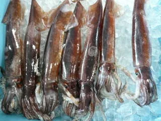 青森産地直送 炉端居酒屋 宵宮がほんず - 勾当台公園（海鮮）の写真