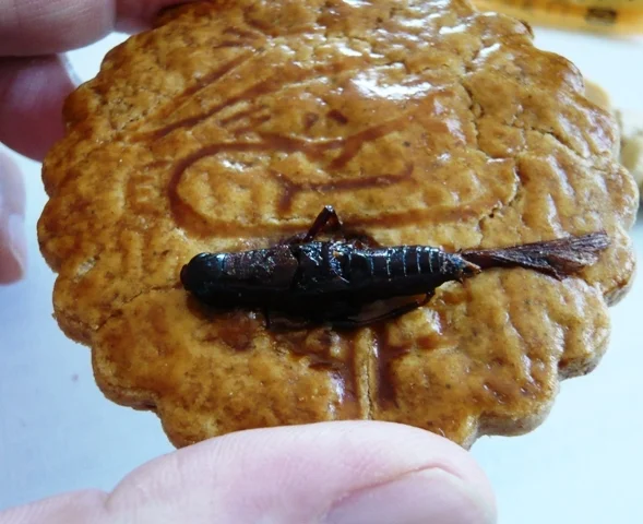 華月堂（カゲツドウ） - 田尻（洋菓子）の写真