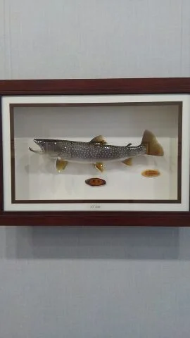 小さな美術館ミモザ - 種差海岸（カフェ）の写真