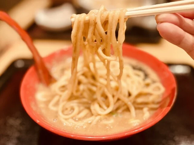 Ramen HONE LABO ヨドバシ仙台店（ラーメン ホネラボ） - 仙台（ラーメン）の写真
