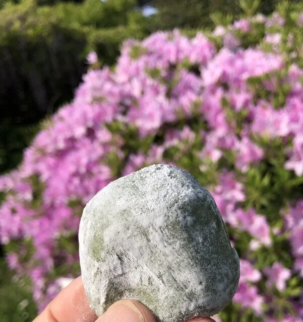 三浦屋 - 本吉（和菓子）の写真