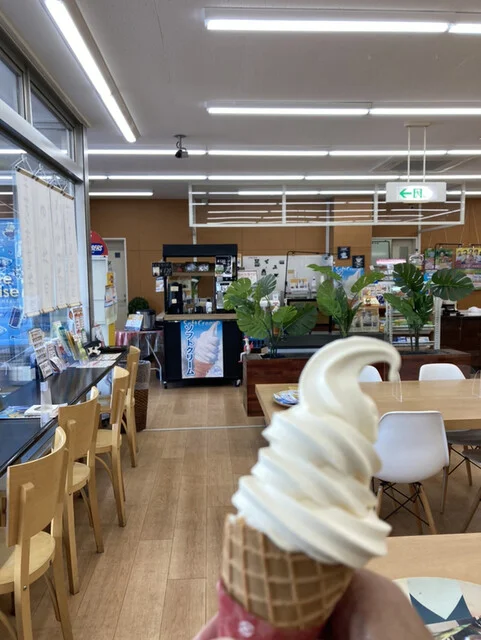 ココリコ - 仙台空港（弁当）の写真