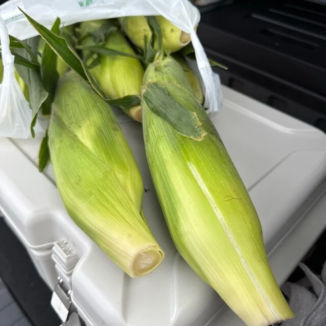 小田桐農園 - 岩木町その他（その他）の写真