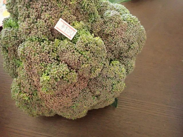 障害福祉サービス事業所 ほうゆう（社会福祉法人幸生会　ほうゆう） - 仙台市泉区その他（その他）の写真