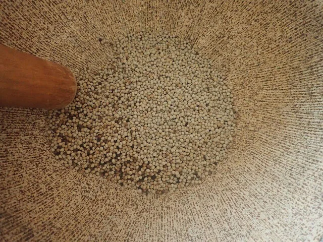 あやめの里 - くりこま高原（その他）の写真