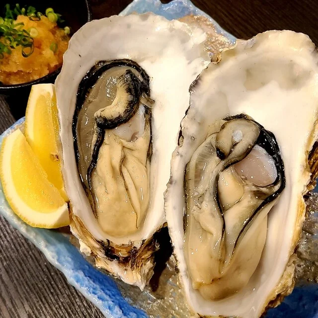 居酒屋 KIMU家 六日町店 - 本八戸（居酒屋）の写真