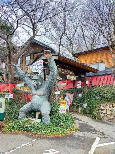 宮城蔵王 きつね村（MIYAGIZAO きつね村） - 白石（その他）の写真