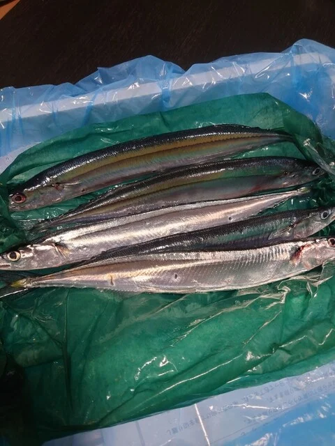 株式会社 磯屋水産（カブシキガイシャ イソヤスイサン） - 南気仙沼（その他）の写真