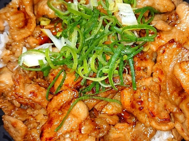 伝説のすた丼屋 ヨドバシ仙台店 - 宮城野通（豚丼）の写真