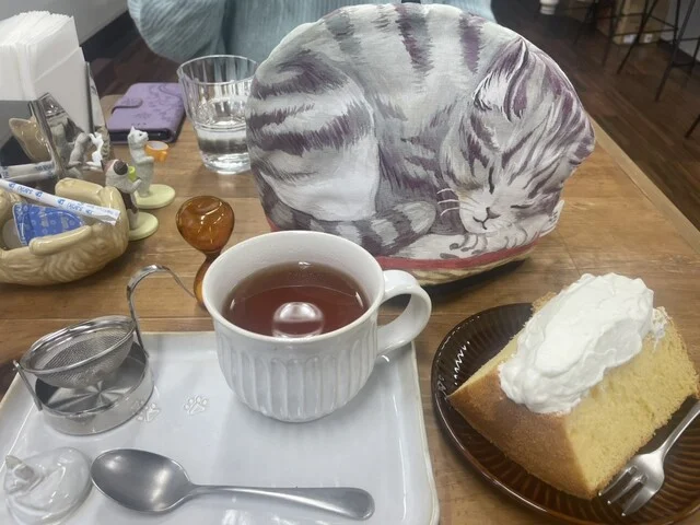 猫の庭 - 筒井（カフェ）の写真