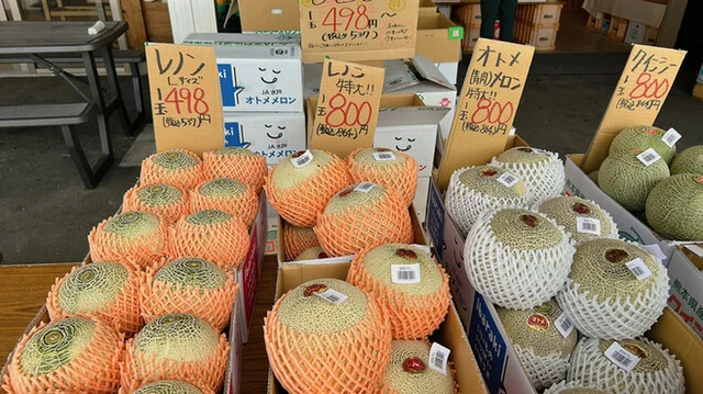 生駒農場 - 蔵王町その他（その他）の写真