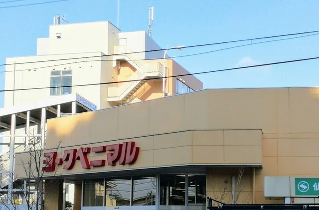 不二家 ヨークベニマル真美沢店 - 八乙女（ケーキ）の写真