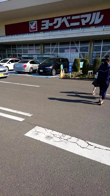 ヨークベニマル 南中山店 - 北山（コンビニ・スーパー）の写真