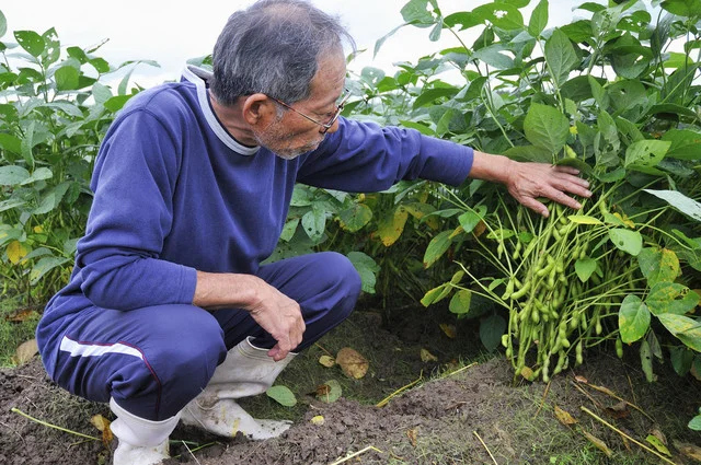 エンドー餅店 - 東照宮（和菓子）の写真