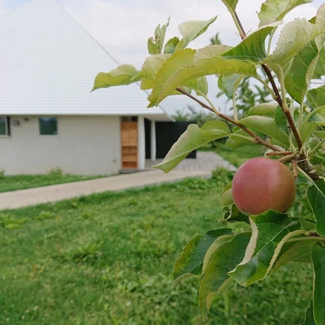 弘前シードル工房 キモリ（弘前シードル工房 kimori） - 弘高下（その他）の写真