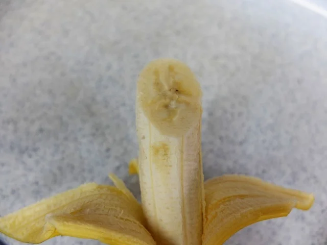 フルーツ・フル タピオ店（FruitFull） - 泉中央（フルーツパーラー）の写真