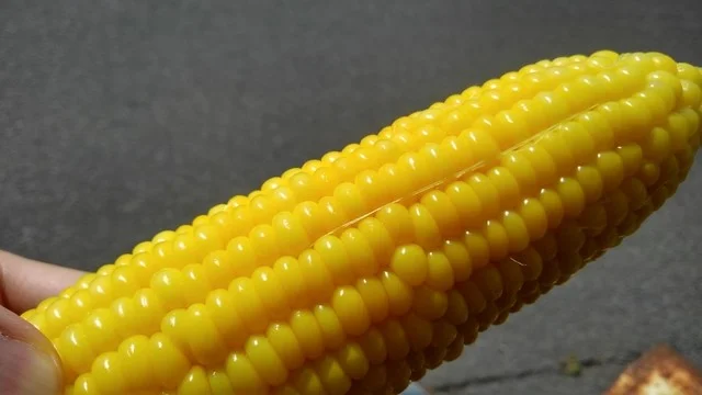 四季彩館 - 中央弘前（ジェラート・アイスクリーム）の写真