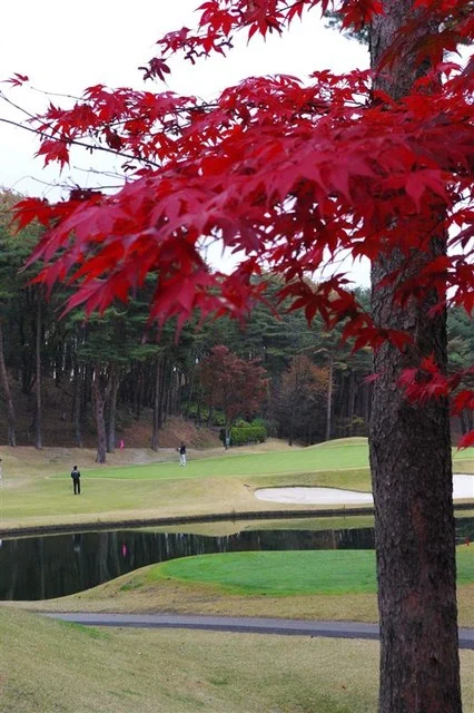 杜の都ゴルフ倶楽部 クラブハウスレストラン（クラブハウスレストラン） - 泉中央（麺類）の写真