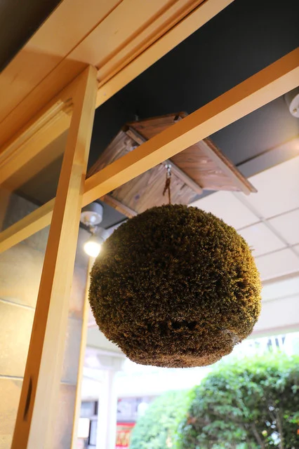 牛たん炭焼き 利久 一番町店 - 勾当台公園（牛タン）の写真