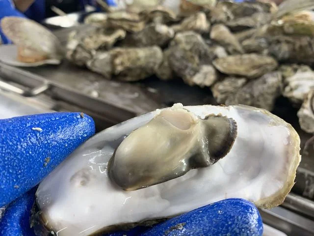 かき小屋　唐桑番屋 - 南気仙沼（海鮮）の写真