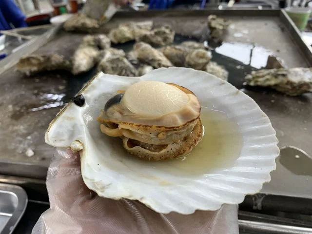 かき小屋　唐桑番屋 - 南気仙沼（海鮮）の写真