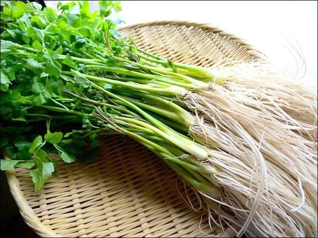 まる（○） - 古川（居酒屋）の写真