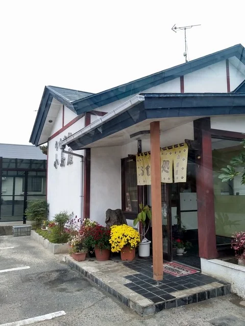 小島屋 - 松山町（食堂）の写真