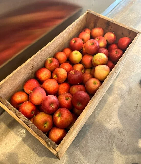 A-BossA（エー ボッサ） - 青森（オムライス）の写真