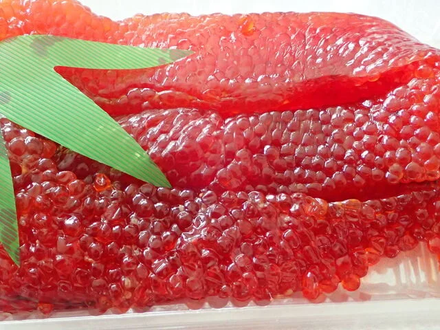 小山内商店 - 青森（その他）の写真