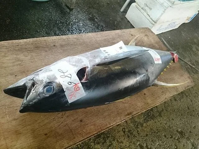 東一商店 - 東塩釜（その他）の写真