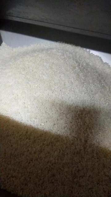 鈴憲商店 - 高城町（その他）の写真