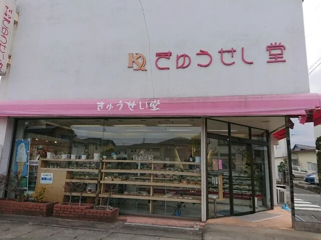 きゅうせい堂 - 古川（パン）の写真