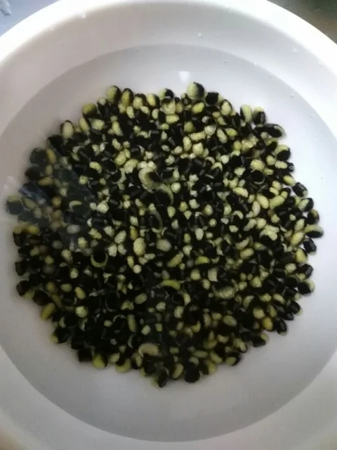 豆・雑穀の専門店 すずや 仙台朝市店（すずや穀物） - あおば通（その他）の写真