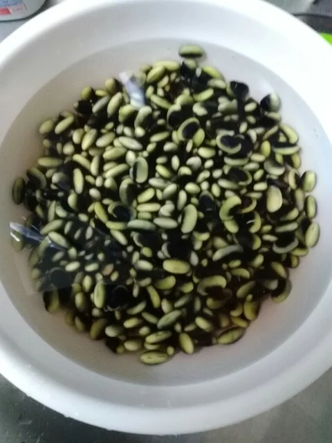 豆・雑穀の専門店 すずや 仙台朝市店（すずや穀物） - あおば通（その他）の写真