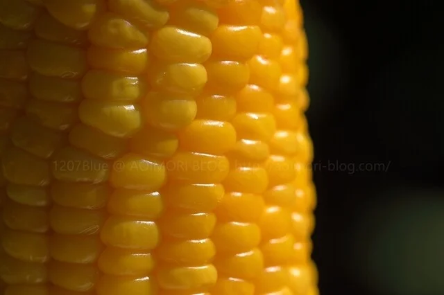 崎野農園 とうもろこし直売所 - 弘前市その他（その他）の写真