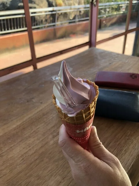 八木山動物公園内 アフリカ園売店 - 八木山動物公園（喫茶店）の写真