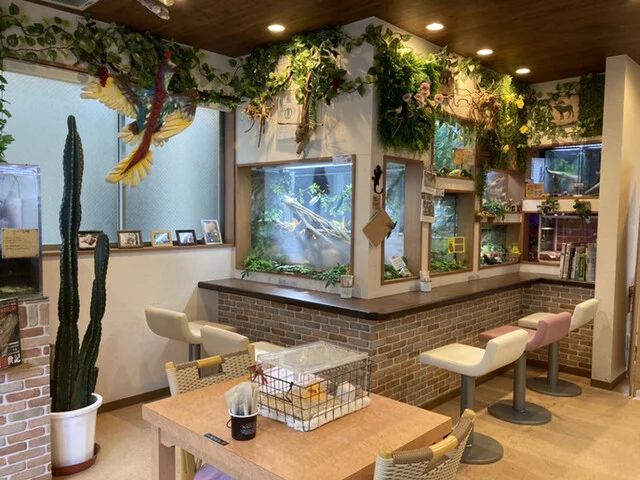 ショップアンドカフェ ジュラのモリ（shop & cafe ジュラの杜） - 中野栄（カフェ）の写真