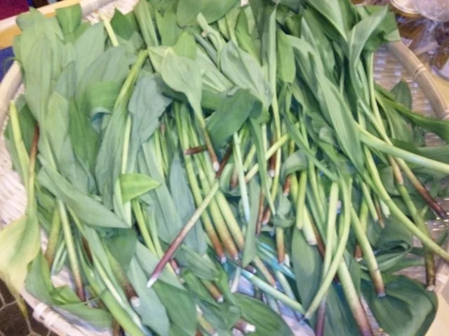 旬 - 十和田市（居酒屋）の写真