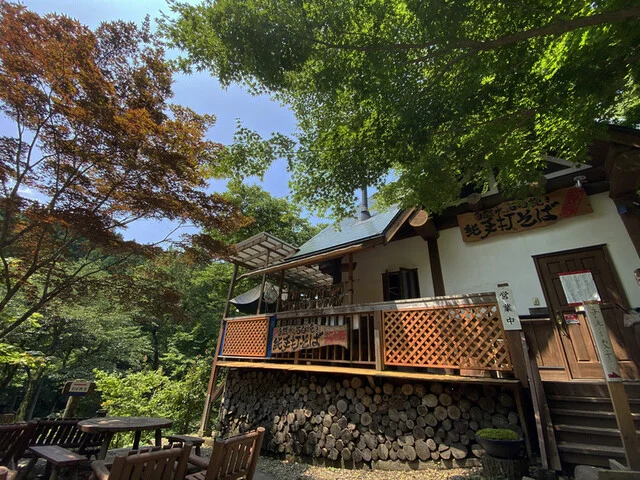 手打そば　もみじ野 - 岩出山（そば）の写真