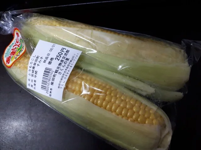 船岡城址公園 さくらの里 - 船岡（その他）の写真