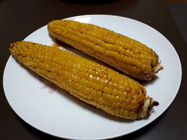 船岡城址公園 さくらの里 - 船岡（その他）の写真