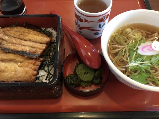 和風レストランまるまつ 新田東店 - 小鶴新田（ファミレス）の写真