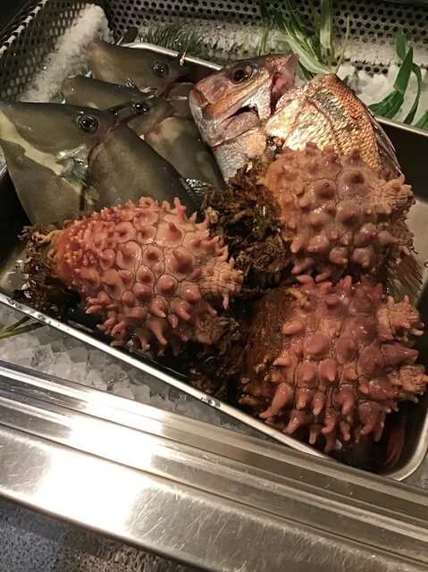 とりっぷ炉人 - 五所川原（居酒屋）の写真