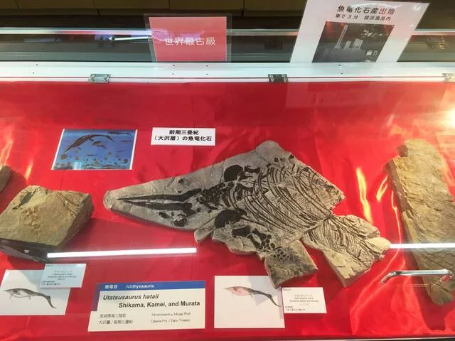 みなさん館 - 歌津（食堂）の写真