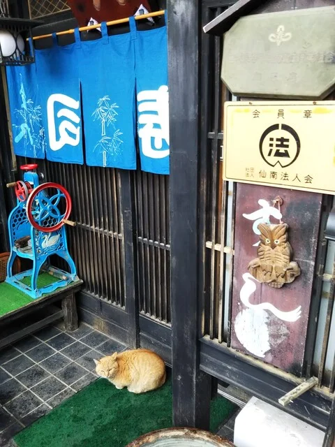 金八寿司（きんぱちずし） - 丸森（肉料理）の写真