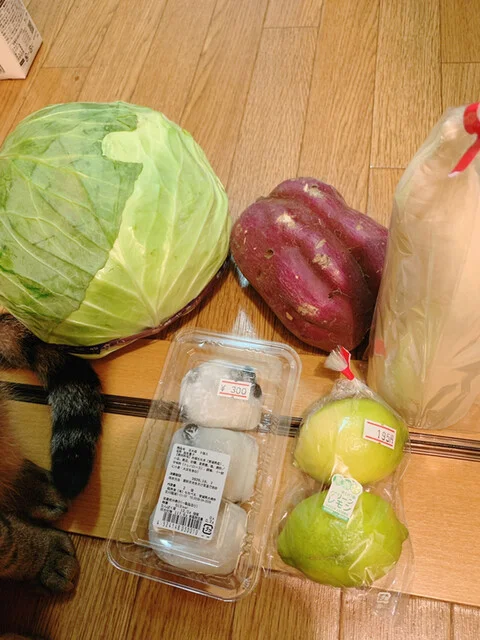 わくわく広場 イオンタウン仙台泉大沢店 - 泉中央（その他）の写真