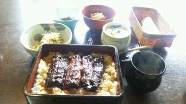 鰻鯉乃館 加茂店 - 泉中央（うなぎ）の写真